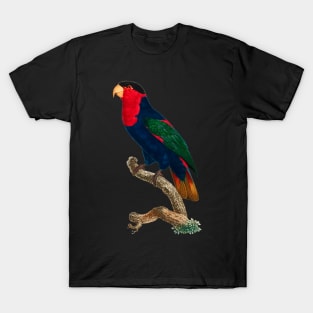 Black Panther Art - Beautiful Parrot 14 T-Shirt
